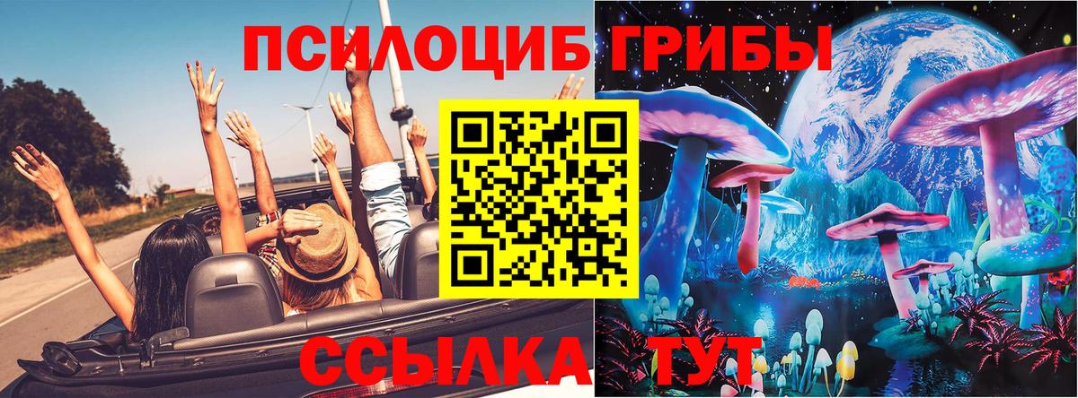 Галлюциногенные грибы Psilocybine cubensis  Галлюциногенные грибы ЛСД  Благовещенск  Вход с VPN 