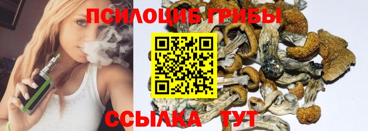 Псилоцибиновые грибы мухоморы Благовещенск